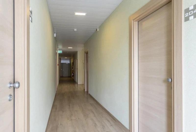Hotel Rex Misano Adriatico Eksteriør billede